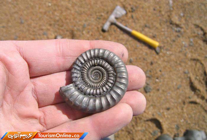 سوغاتی ساحل