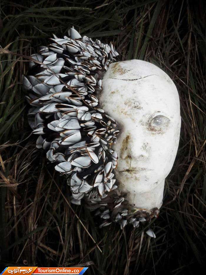 سوغاتی ساحل