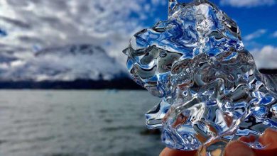 سوغاتی ساحل