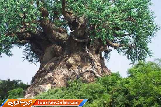 جاذبههای طبیعی، گردشگری