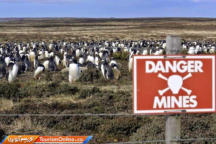 جزایر فالکلند