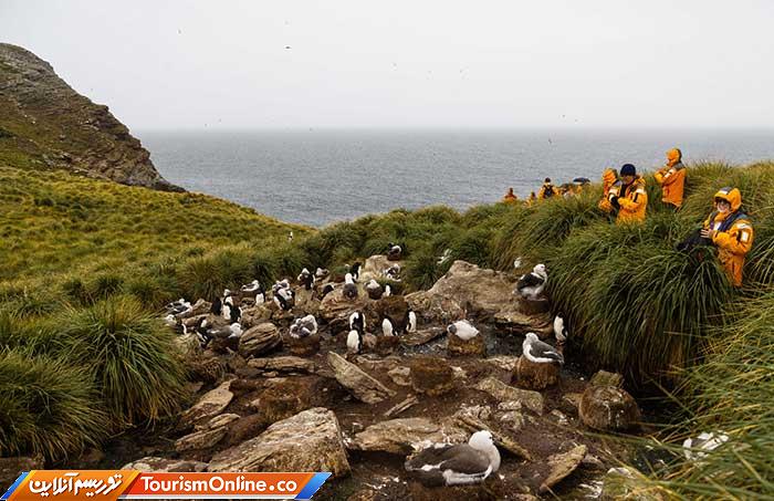 جزایر فالکلند