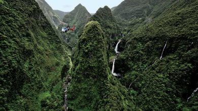 جزیره رئونیون