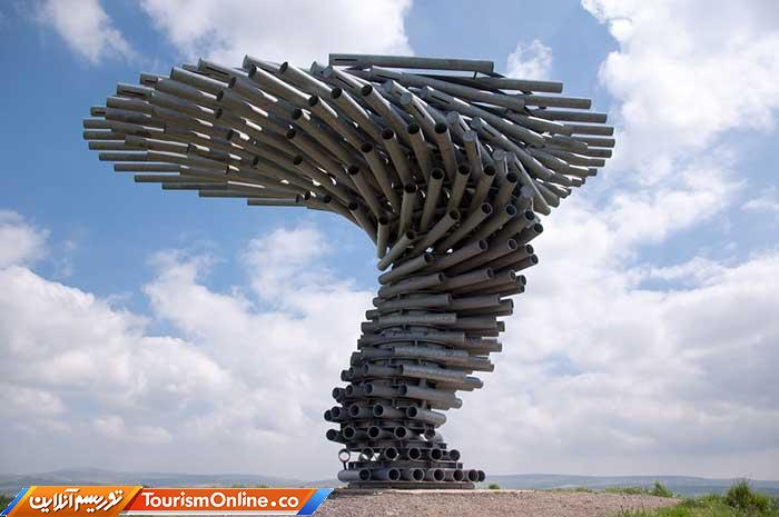 درخت آوازه خوان