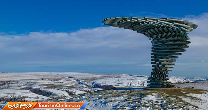 درخت آوازه خوان