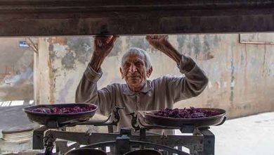 سید مصطفی راحمی