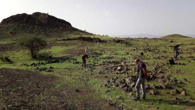 باستان شناسی