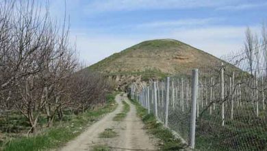 دوره تاریخی