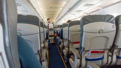 غذا در هواپیما