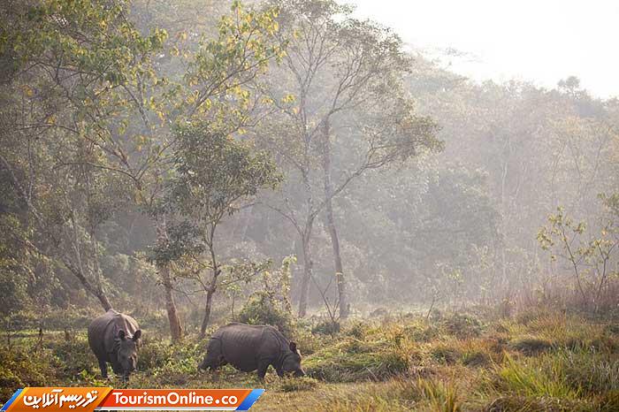 تور حیات وحش