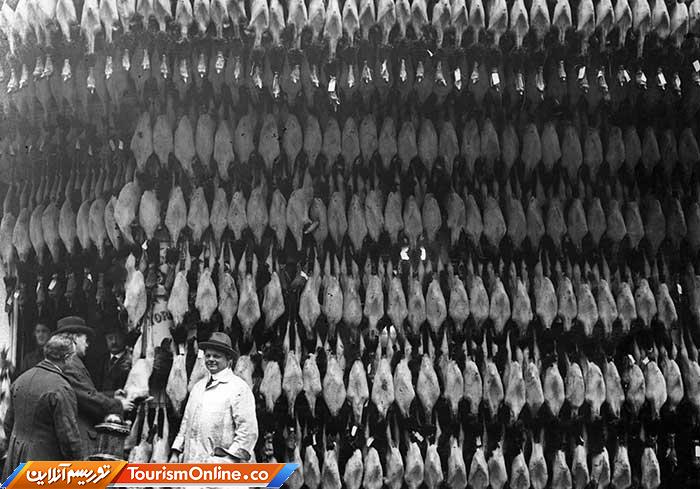 عکسهای تاریخی