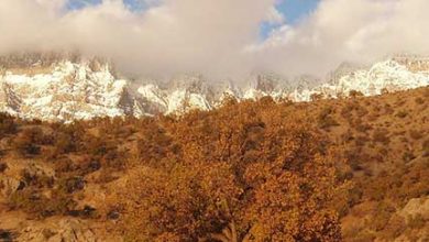 منطقه گردشگری