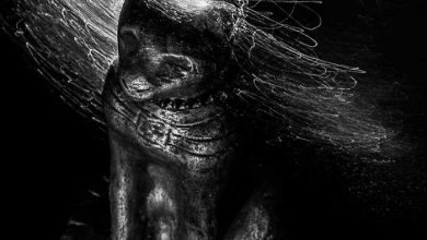 لانگ اکسپوژر