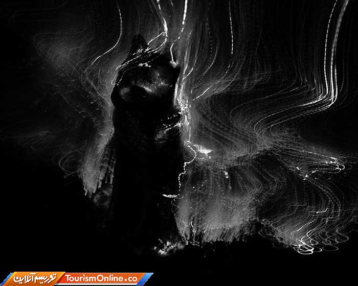 لانگ اکسپوژر