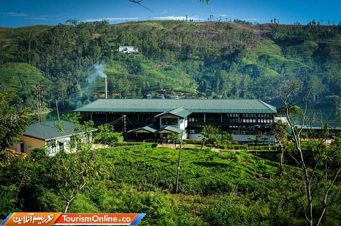 چای سریلانکا