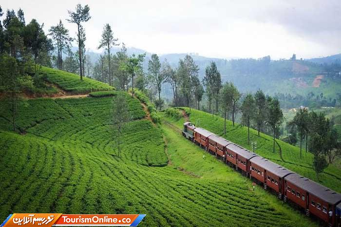 چای سریلانکا