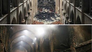 و کلیسای نوتردام