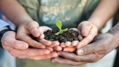 مسئولیت‌پذیری