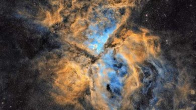 عکاس سال نجوم