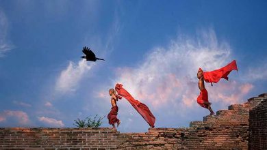 عکس های برتر