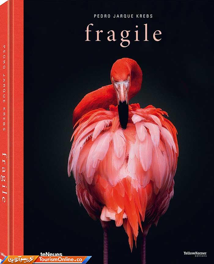 عکاسی پرتره از حیوانات