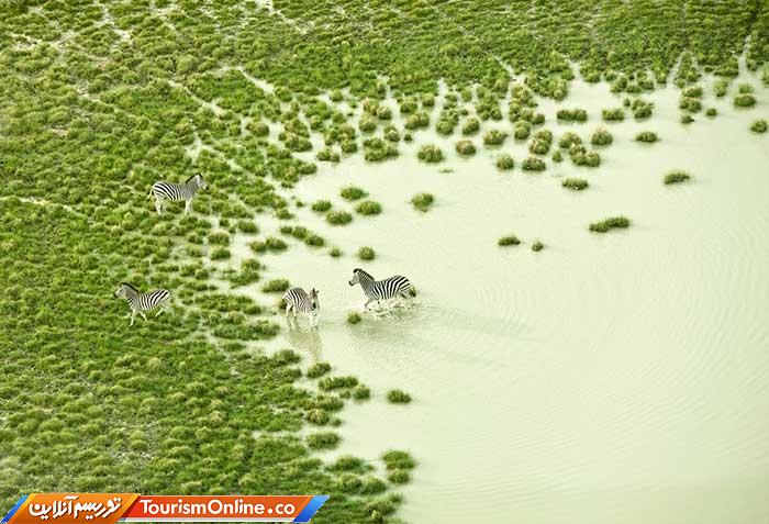 بوتسوانا و ایسلند