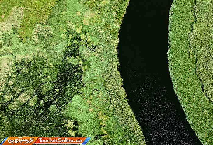 بوتسوانا و ایسلند