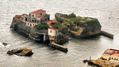 جزیره نفرین شده