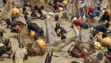 فستیوال ماهیگیری