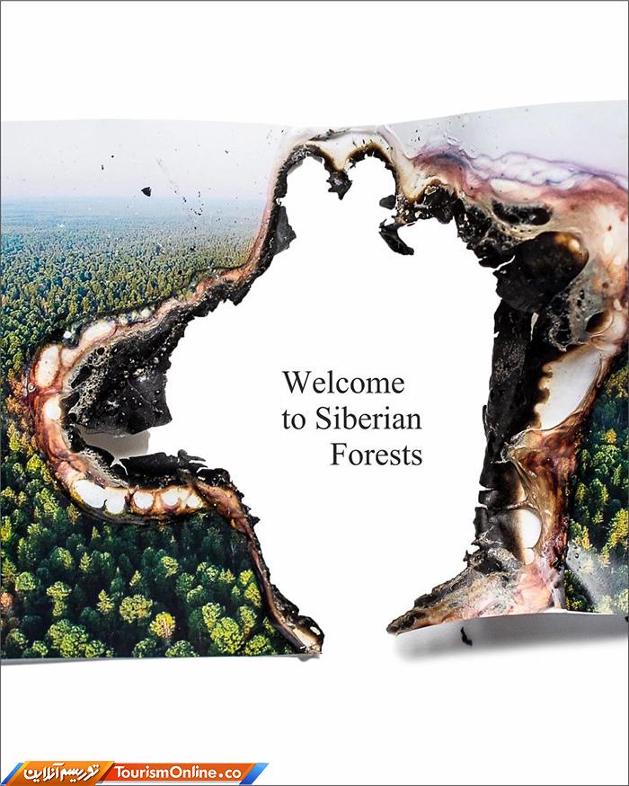 آتش سوزی جنگل