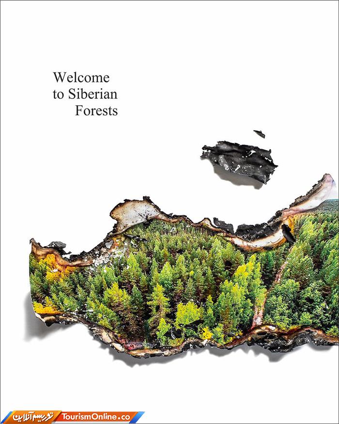 آتش سوزی جنگل