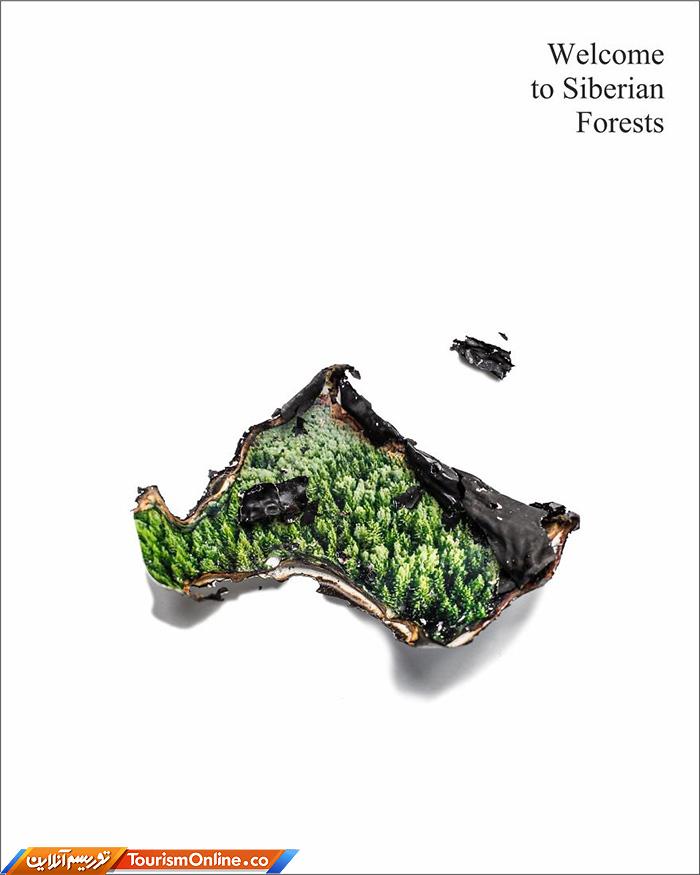 آتش سوزی جنگل