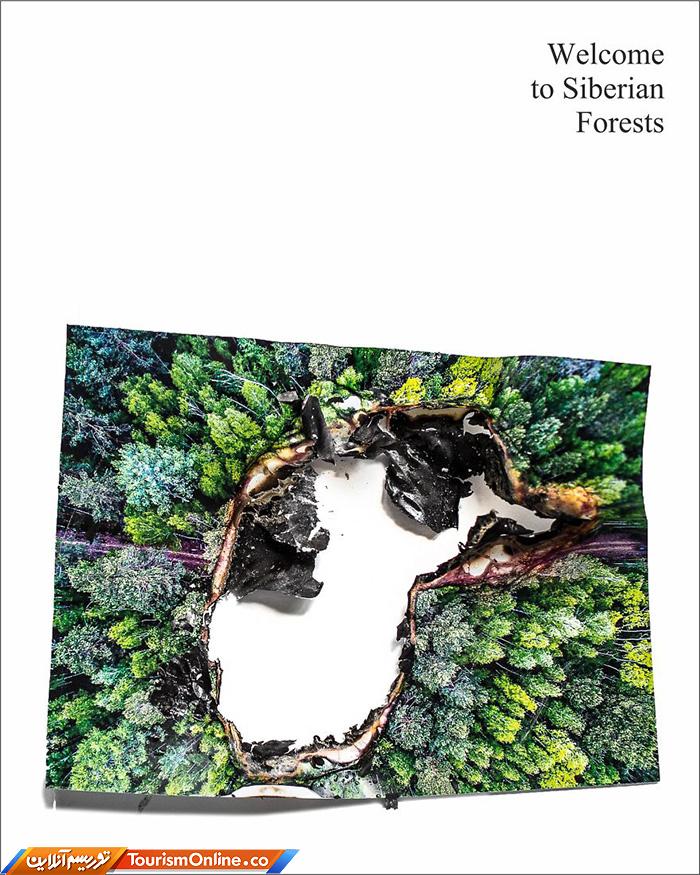 آتش سوزی جنگل