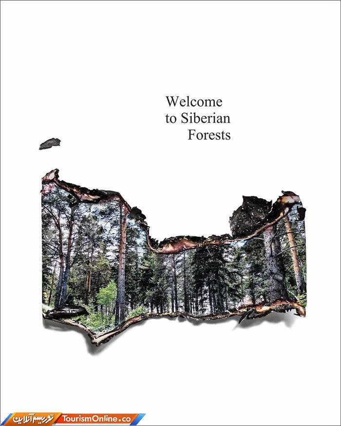 آتش سوزی جنگل