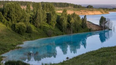 مالدیو سیبری