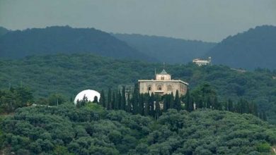 کاخ صفی آباد