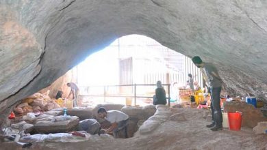 موزۀ انسان شناسی پاریس