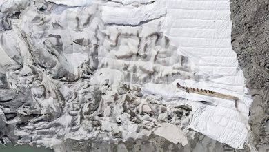 یخچالهای طبیعی