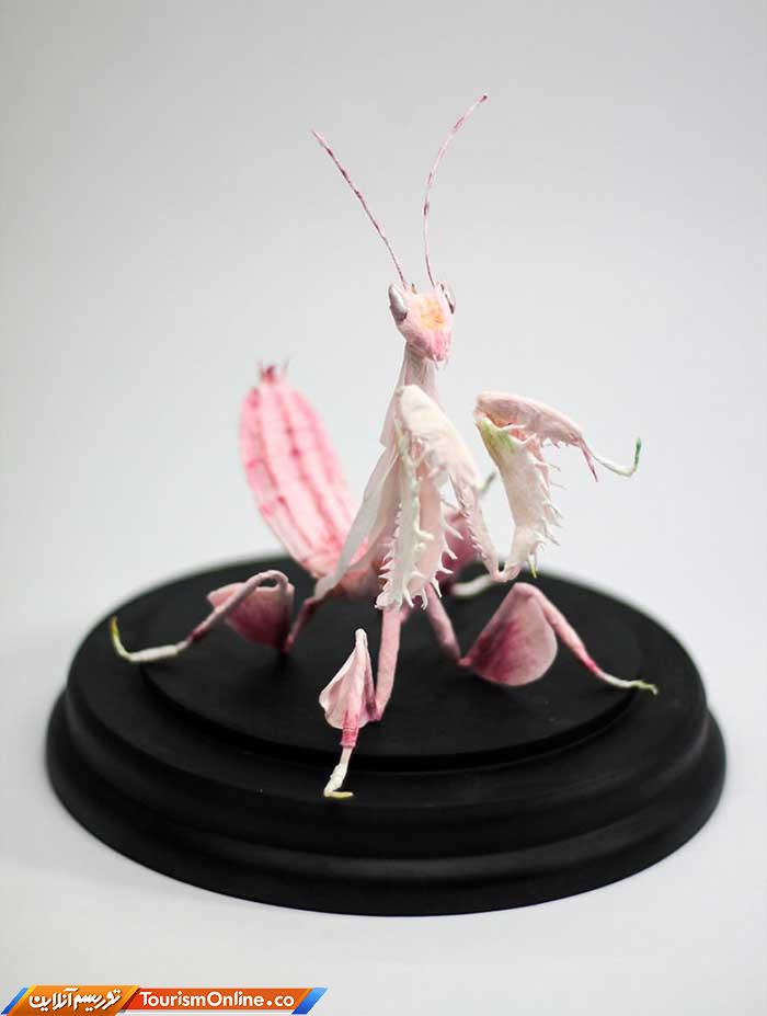 حشرات کاغذی