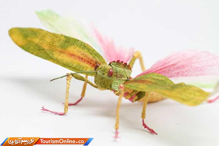 حشرات کاغذی