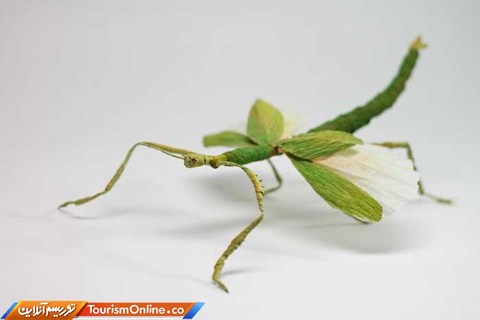 حشرات کاغذی