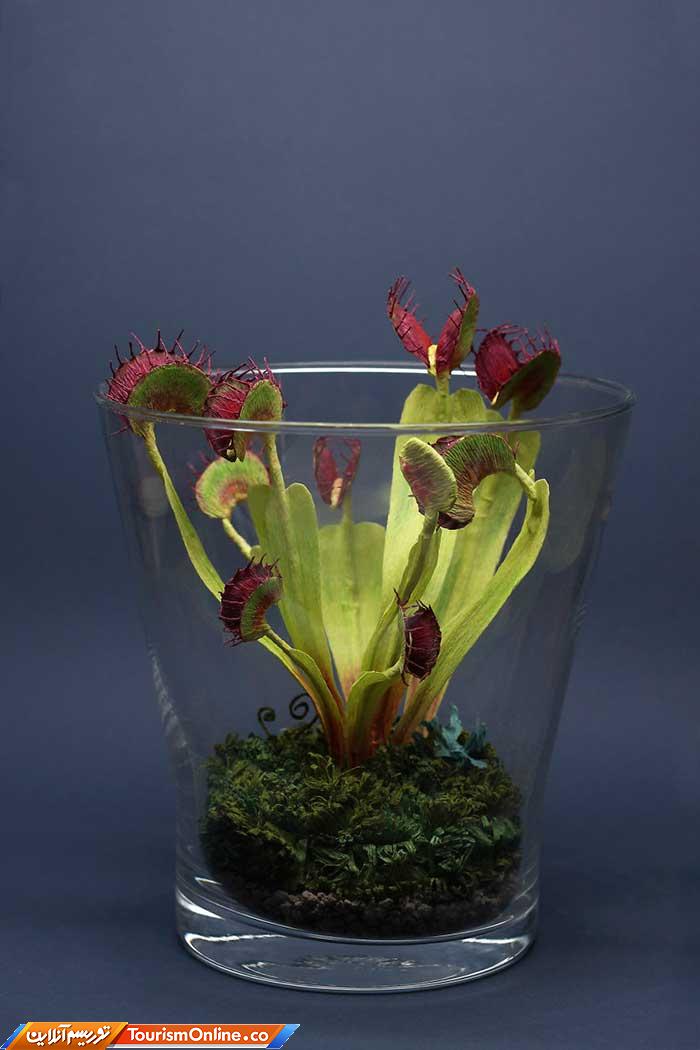 حشرات کاغذی