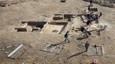 تپه هگمتانه