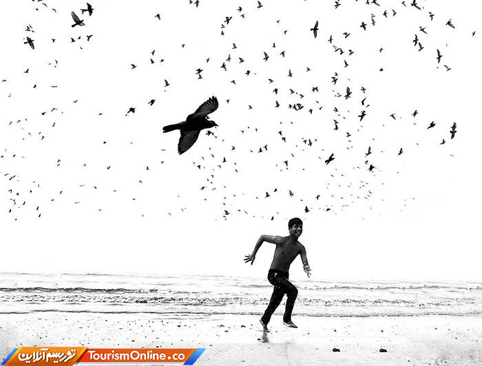 آیفون گرافی