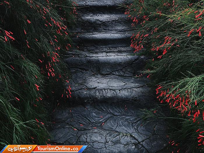 آیفون گرافی