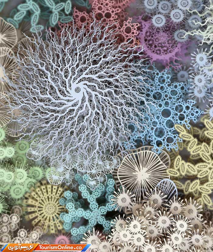 چشم اندازهای زیردریایی