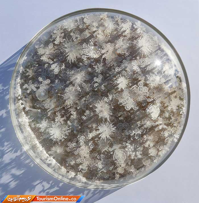 چشم اندازهای زیردریایی