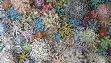 چشم اندازهای زیردریایی