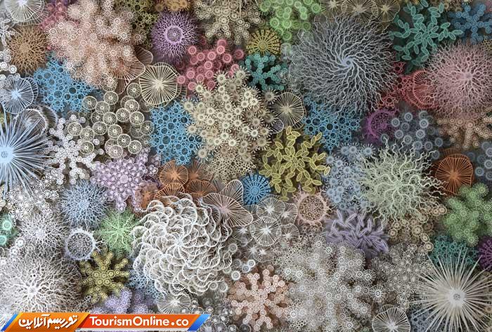 چشم اندازهای زیردریایی