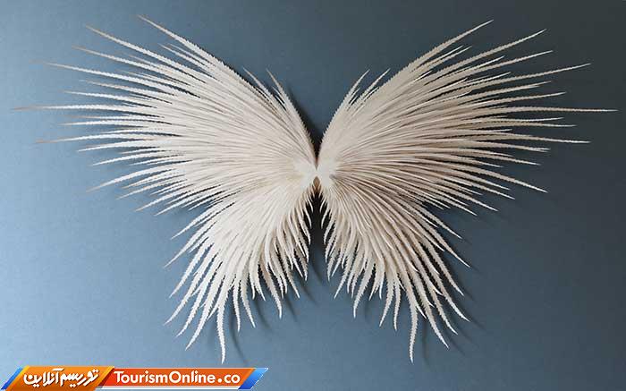 چشم اندازهای زیردریایی